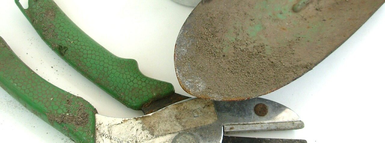 Features To Look Out For When Purchasing A Gardening Equipment