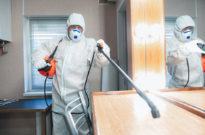 cleaning expert