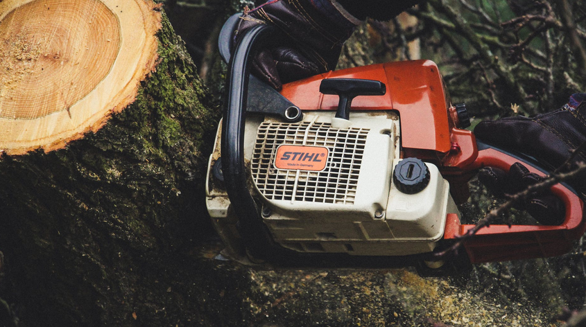 Buying a Cordless Chainsaw for Your Home