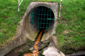 dirty water