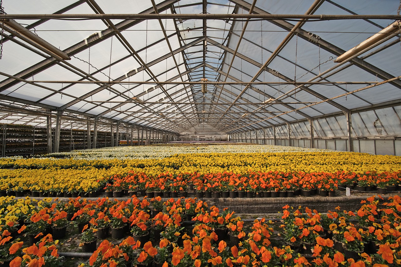 Homeowner’s Guide to Greenhouses: Everything You Need to Know