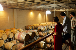 stored wine