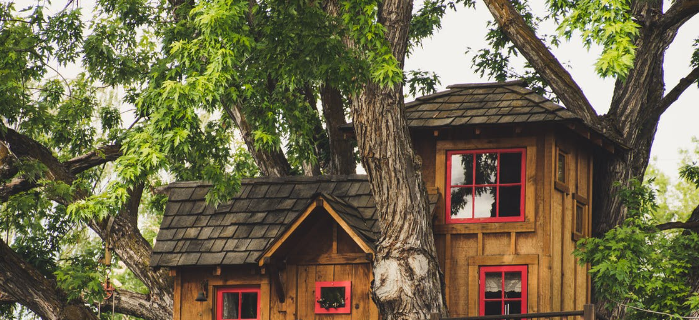tree house builder