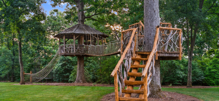 tree house tree